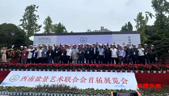 贵州省福泉盆景艺术闪耀泸州:为祖国生日献礼,荣获金、银、铜奖