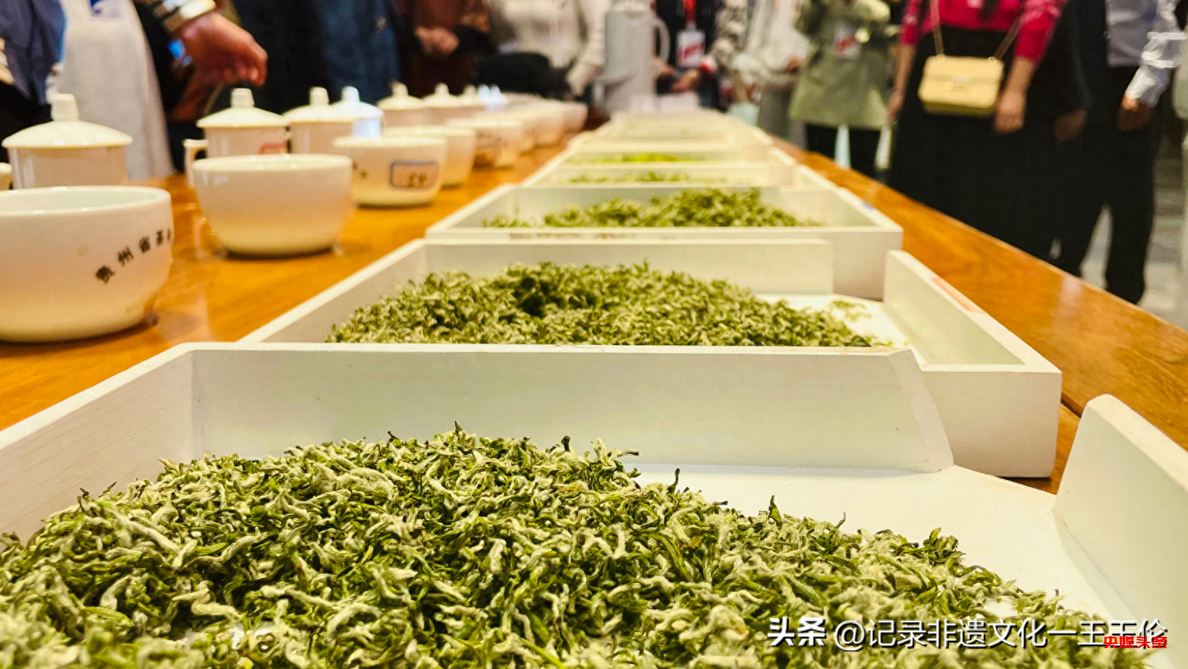 第十一届“黔茶杯”评比活动首日:贵州中交绿连续三年获金奖
