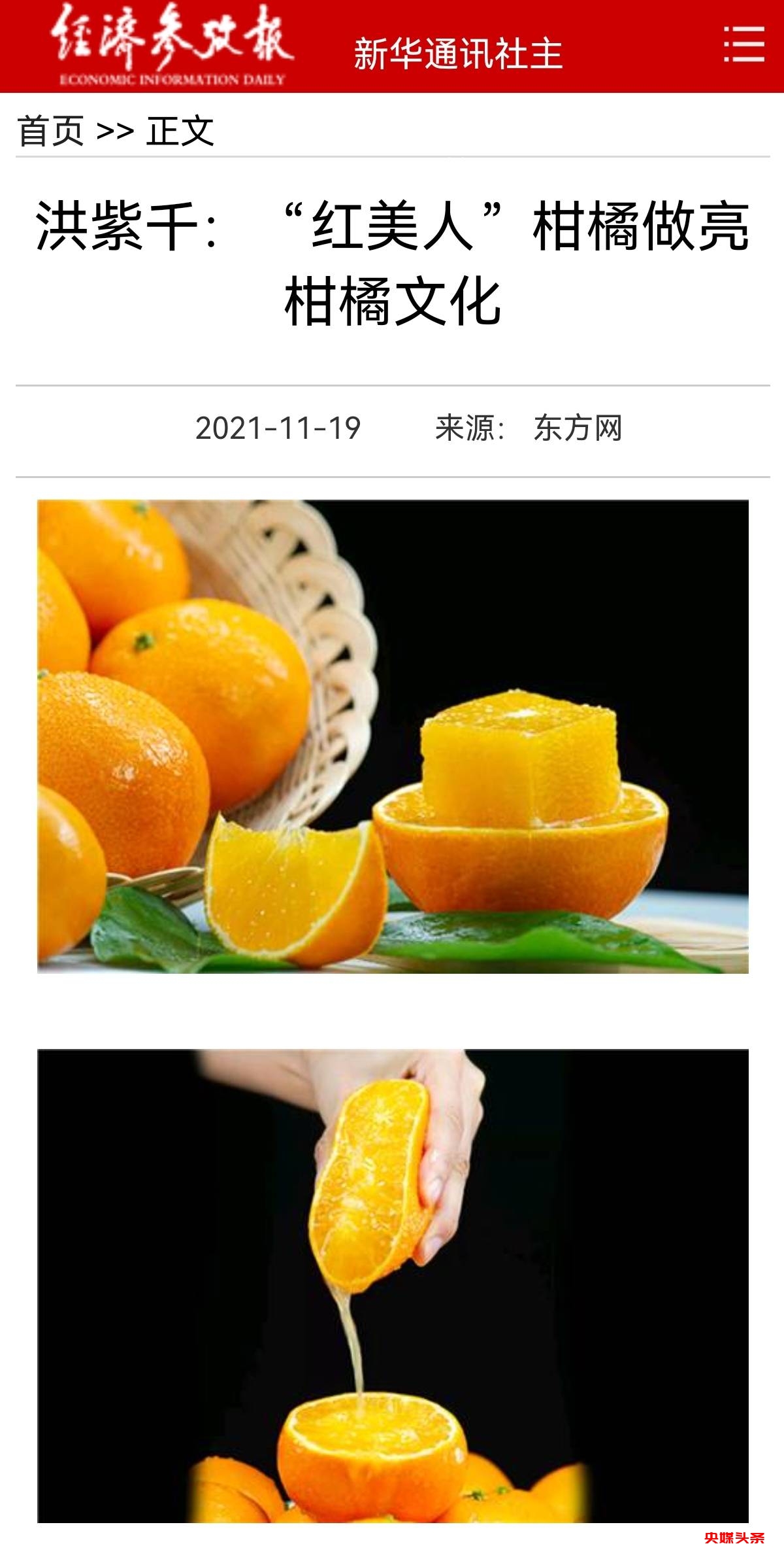 初冬象山红美人开摘了,读洪紫千“双红双绿”感受人间暖春
