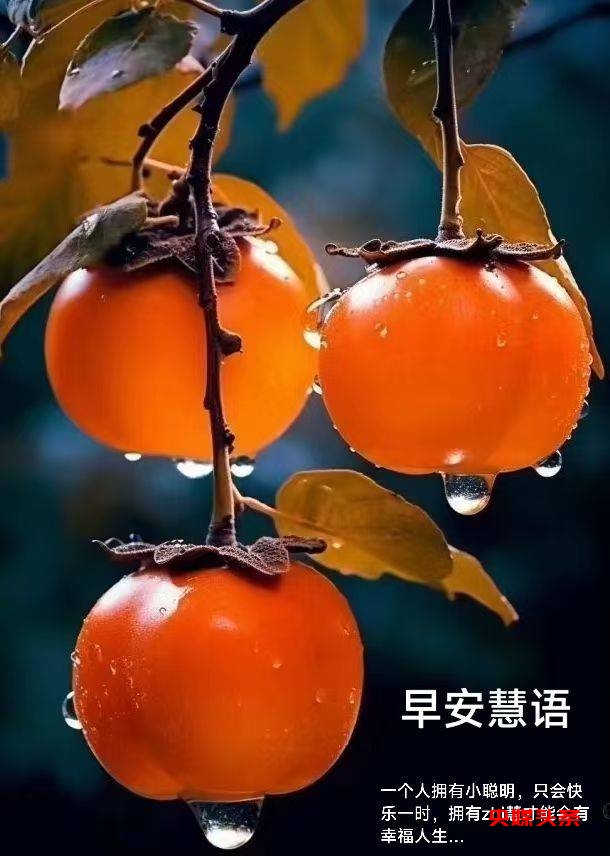 初冬象山红美人开摘了,读洪紫千“双红双绿”感受人间暖春