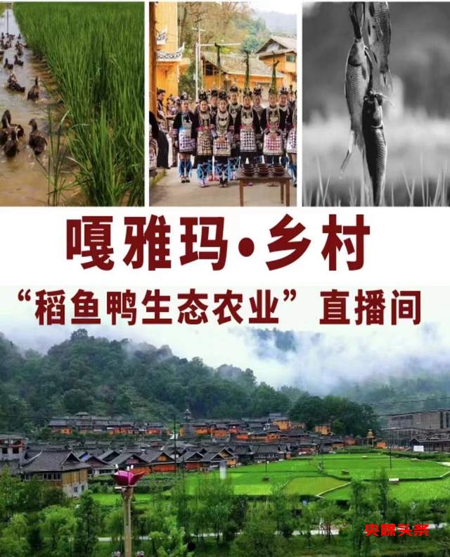 郭建强调研从江侗乡稻鱼鸭复合系统和乡村旅游建设