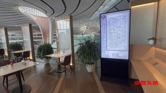 北京机场《中国文化艺术品代言》主题巡展——沈楚华