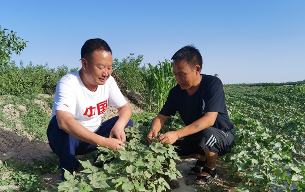 何煜：兵团团场乡村振兴的实践与思考