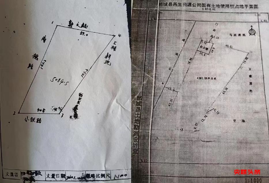 河南郸城县供销社支持再生资源公司法人李森侵吞霸占土产公司土地资产、谋取暴利